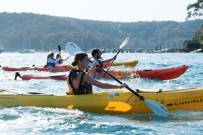 Pittwater Discovery Kayaking Tour - Key highlights to watch for
