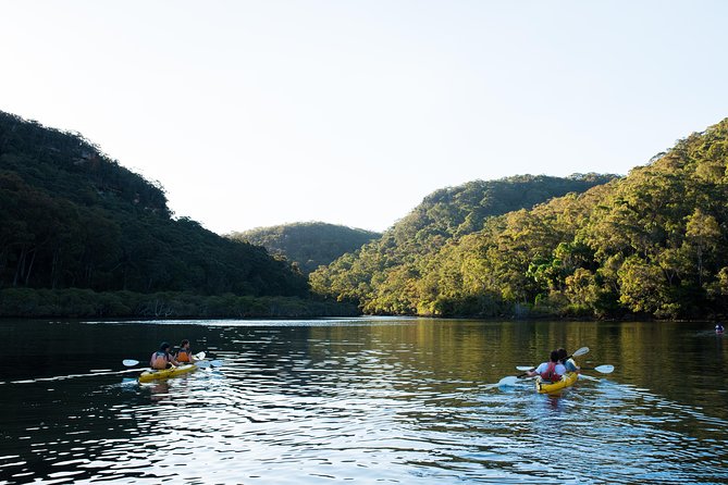 Pittwater Discovery Kayaking Tour - Why Pittwater works so well for a beginner-friendly kayak day