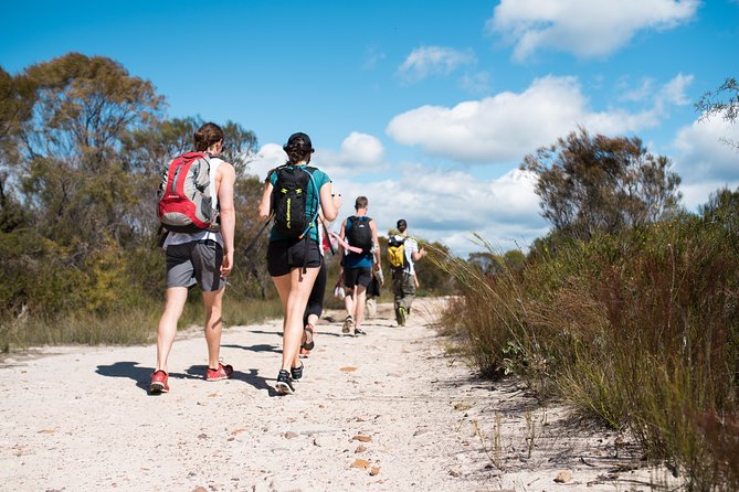 Pittwater Discovery Kayaking Tour - Price and value: is $89.66 worth it for this Pittwater day?
