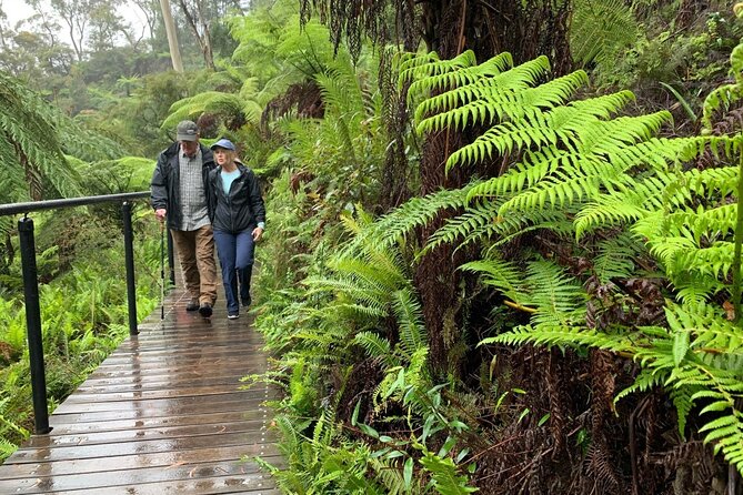 PJ Blue Mountains Supreme [Private Charter] - Cahill’s Lookout and Sound of Silence: the calm pause between rides
