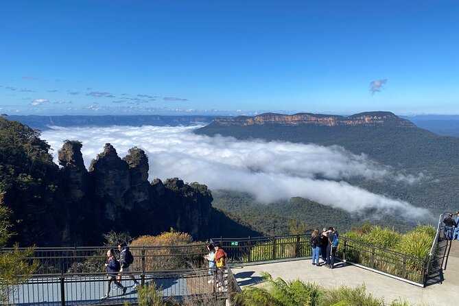 PJ Blue Mountains Supreme [Private Charter] - Featherdale Wildlife Park early access: animals up close, with food involved