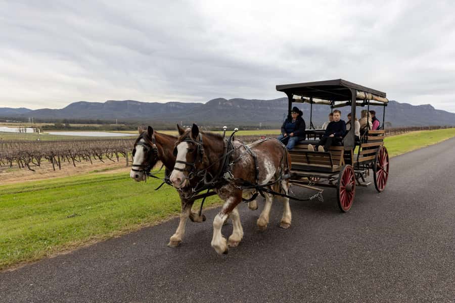 Pokolbin: Harvest the Hunter Horse Drawn Carriage Tour 3hrs - Key Things I’d Pay Attention To