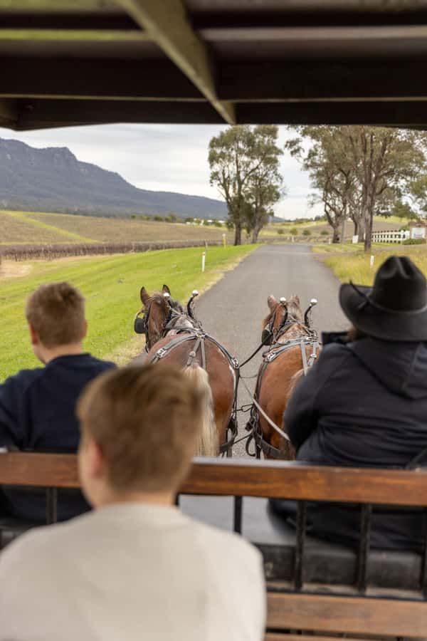 Pokolbin: Harvest the Hunter Horse Drawn Carriage Tour 3hrs - Pokolbin by Horse, Wine, and Sweet Stops in 3 Hours