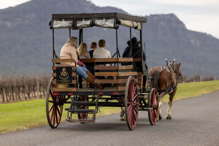 Pokolbin: Harvest the Hunter Horse Drawn Carriage Tour 3hrs - Two Winery Tastings: How You Get Beyond Just Drinking