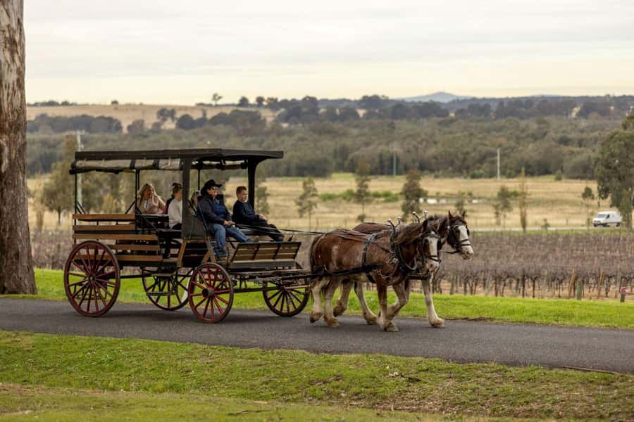 Pokolbin: Harvest the Hunter Horse Drawn Carriage Tour 3hrs - Where to Meet: Wine House Hunter Valley Directions That Save You Stress