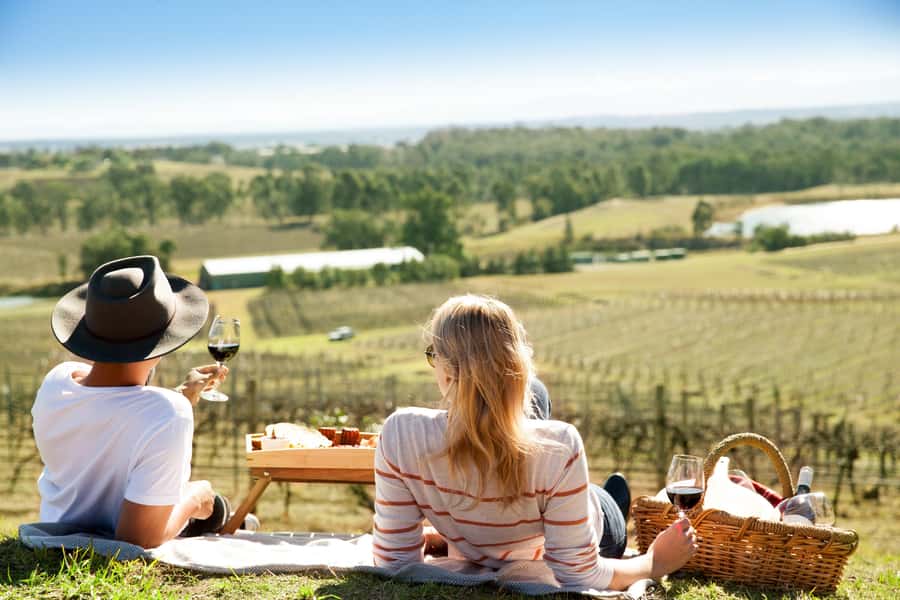 Pokolbin: Picnic & Wine Tasting at Audrey Wilkinson Vineyard - Key highlights worth planning for