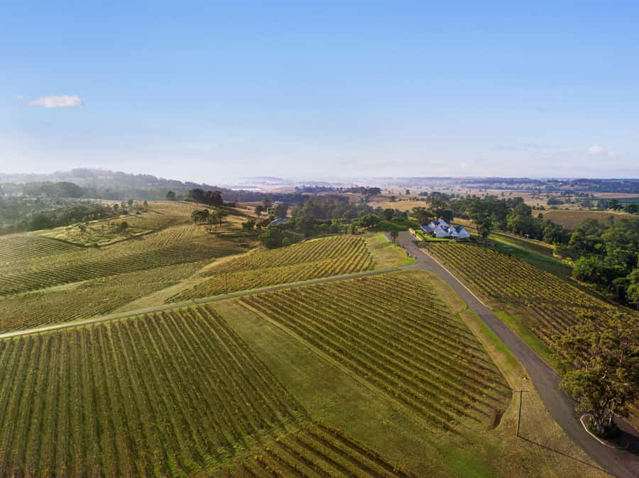 Pokolbin: Picnic & Wine Tasting at Audrey Wilkinson Vineyard - Audrey Wilkinson in Pokolbin, with Brokenback Ranges views