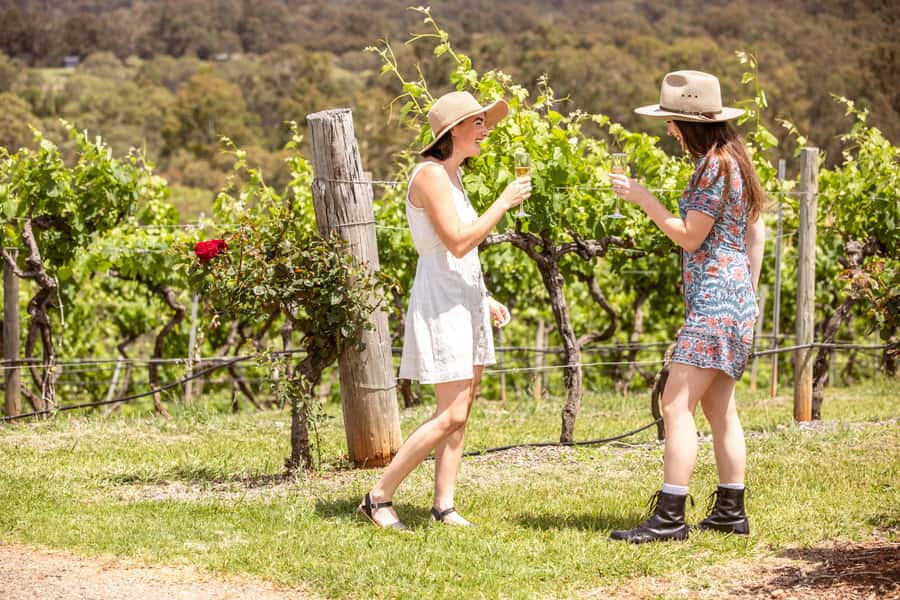 Pokolbin: Picnic & Wine Tasting at Audrey Wilkinson Vineyard - Who should book this Pokolbin wine picnic