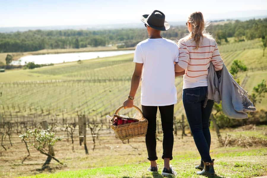 Pokolbin: Picnic & Wine Tasting at Audrey Wilkinson Vineyard - The 90-minute flow: museum first, then master class, then your picnic choice