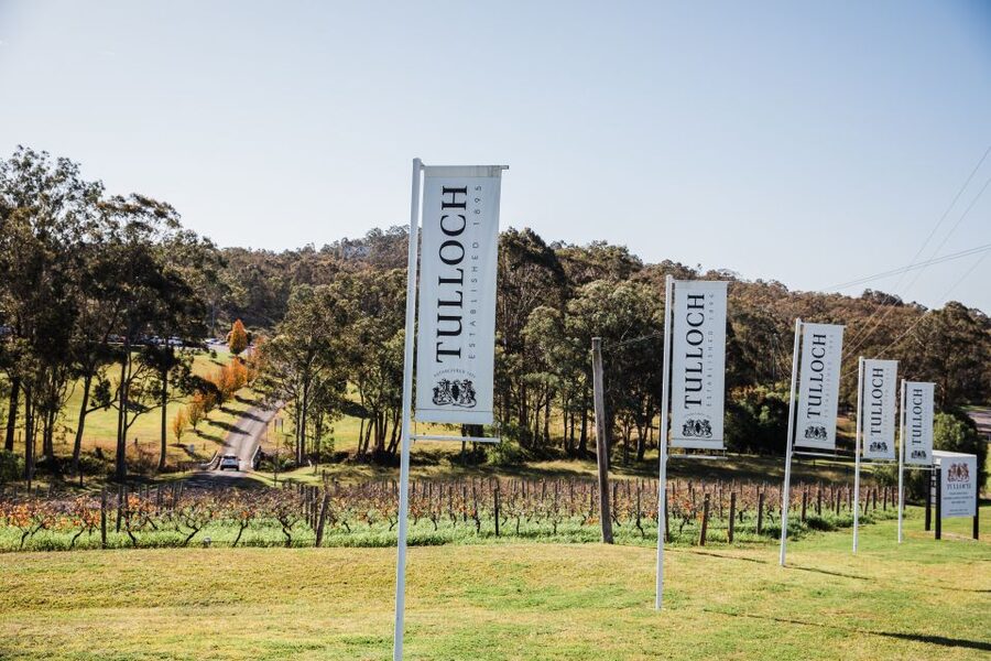 Pokolbin: Tulloch Hunter Heroes Wine Tasting & Cheese Board - Cheese and charcuterie board: the pairing you will actually use