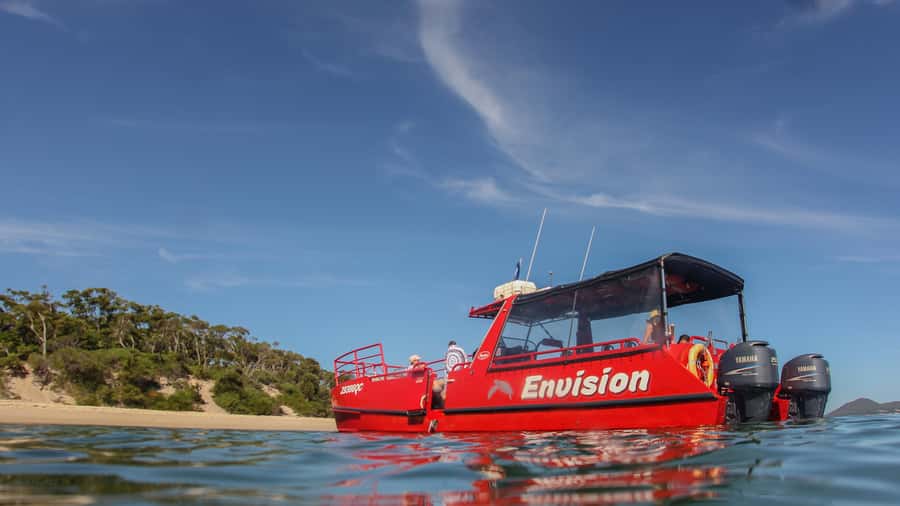Port Stephens: 1hr Dolphin Watch Express - Port Stephens Dolphin Watching, But Done in a Tight 1-Hour Window