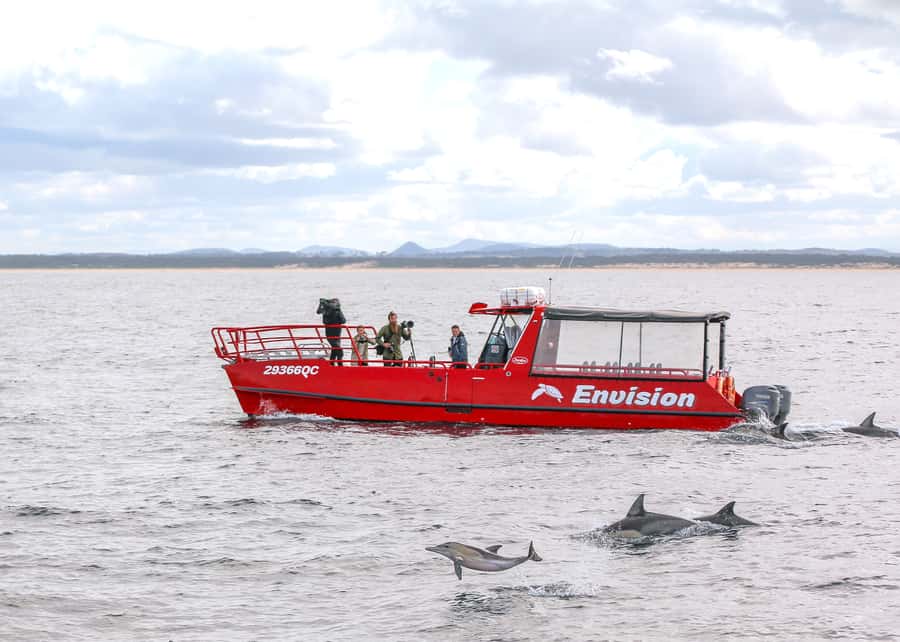 Port Stephens: 1hr Dolphin Watch Express - Cruising Shoal Bay: The Views Are 360 Degrees, Not One-Direction Only