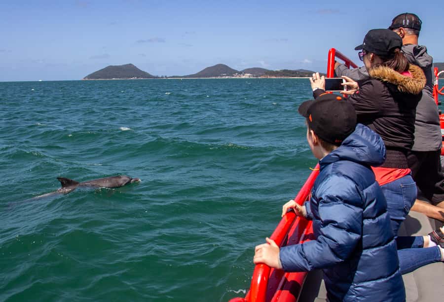 Port Stephens: 1hr Dolphin Watch Express - Onboard Envision: Fast, Safe, and Built for Quick Scanning