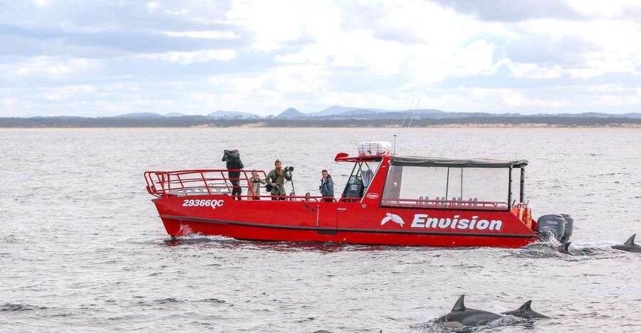 Port Stephens: 1hr Dolphin Watch Express - Price and Value: Why $35 Makes Sense for This Kind of Bay Time