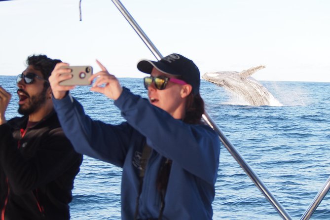 Port Stephens 3 Hour Whale and Dolphin Watch Cruise - Comfort first on a 3-hour cruise out of Nelson Bay