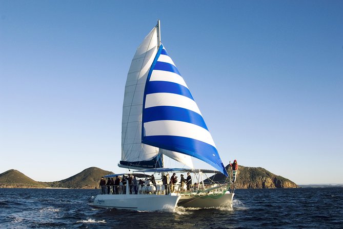 Port Stephens 3 Hour Whale and Dolphin Watch Cruise - A practical breakdown of what happens during the 3 hours
