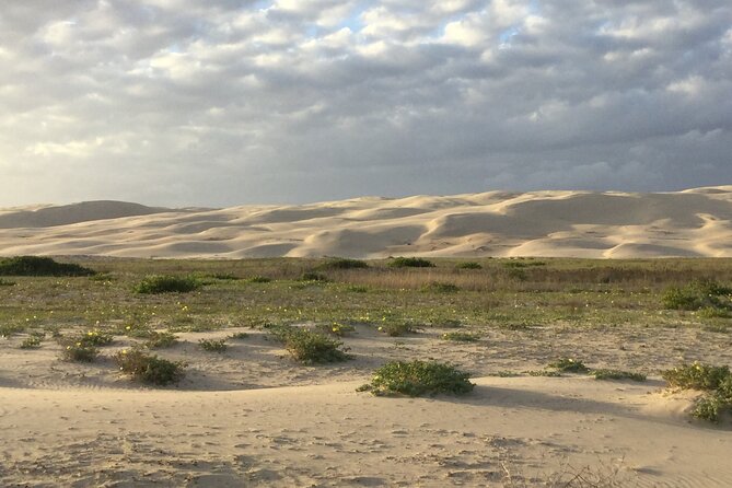 Port Stephens, Beach and Sand Dune 4WD Passenger Tour - Who should book this tour, and who might skip it