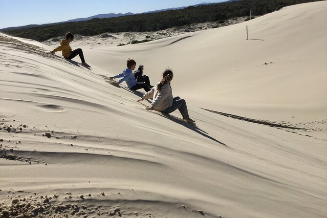 Port Stephens, Beach and Sand Dune 4WD Tag-Along Tour - Driving steep sand tracks: where the guide matters