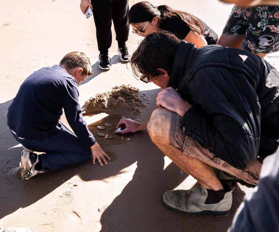 Port Stephens: Birubi Beach 4WD Tour with Sandboarding - The Birubi Beach pipi hunt: part science, part sand play
