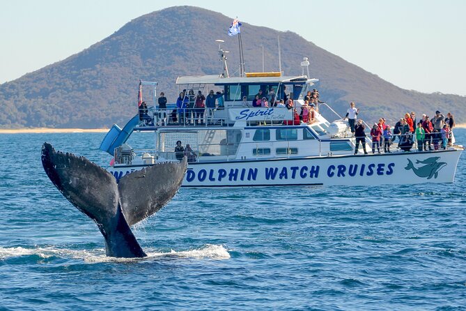 Port Stephens, departing Newcastle - Whales, hike & sand dunes! - Key points to know before you go