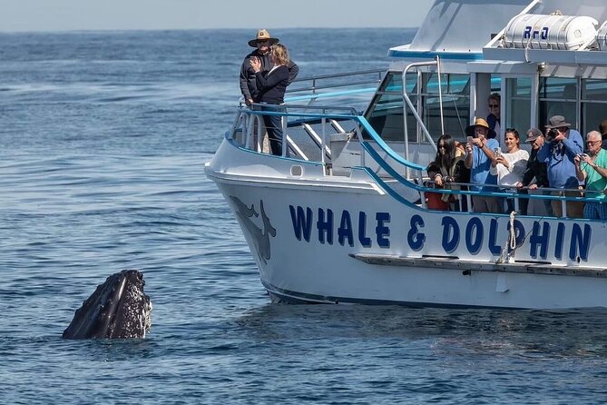 Port Stephens, departing Newcastle - Whales, hike & sand dunes! - Moonshadow-TQC whale cruise with humpbacks and more