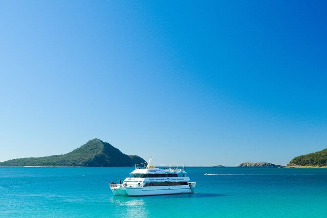 Port Stephens: Dolphin Discovery Cruise - Getting to Dock C at d’Albora Marina (Nelson Bay)