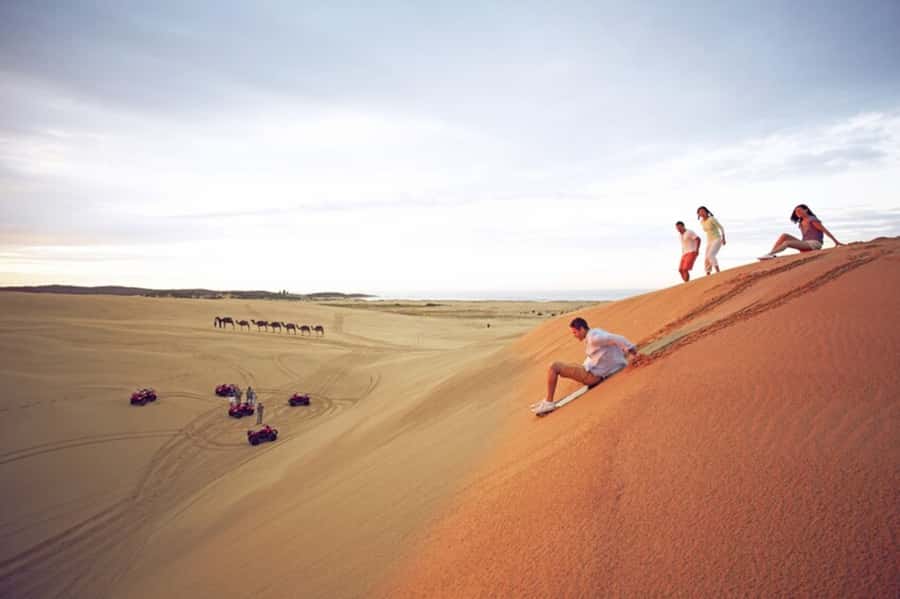 Port Stephens: Dolphin, Lunch, Koalas&Sandboarding -Mandarin - Getting to Port Stephens: long ride, big payoff