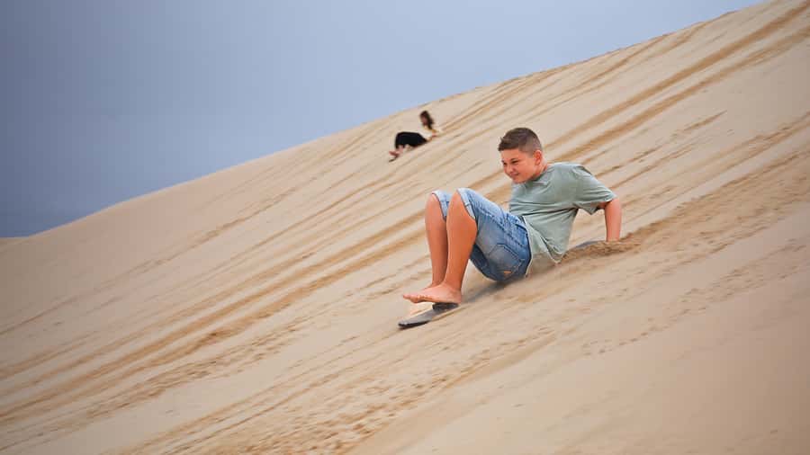 Port Stephens: Dolphin, Lunch, Koalas&Sandboarding -Mandarin - What to bring (and what not to)