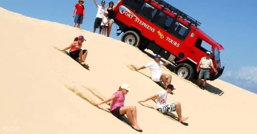 Port Stephens: Dolphin, Lunch, Koalas&Sandboarding -Mandarin - Nelson Bay dolphin watching cruise: your best chance to spot them