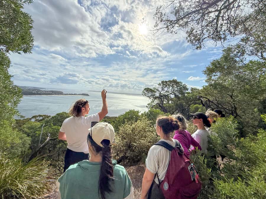 Port Stephens, from Newcastle: Whales, hike & sand dunes! - Door-to-door pickup and the rhythm of a long day from Newcastle