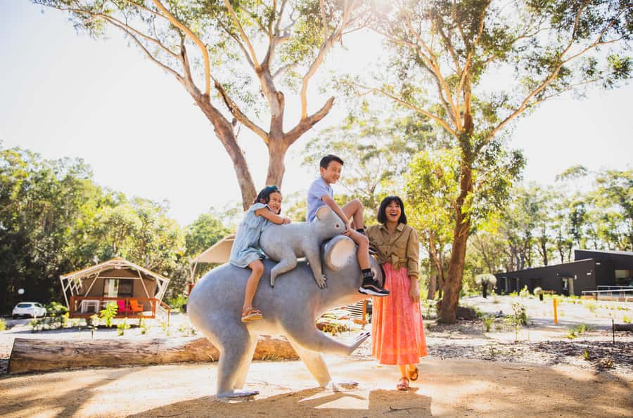 Port Stephens: Koala Sanctuary General Admission Ticket - Who this suits best