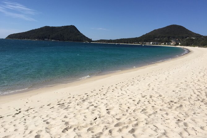 Port Stephens Private Tour From Sydney, with Dolphin/ Whale Cruise Options - Stockton Sand Dunes: sandboarding that actually feels like an adventure