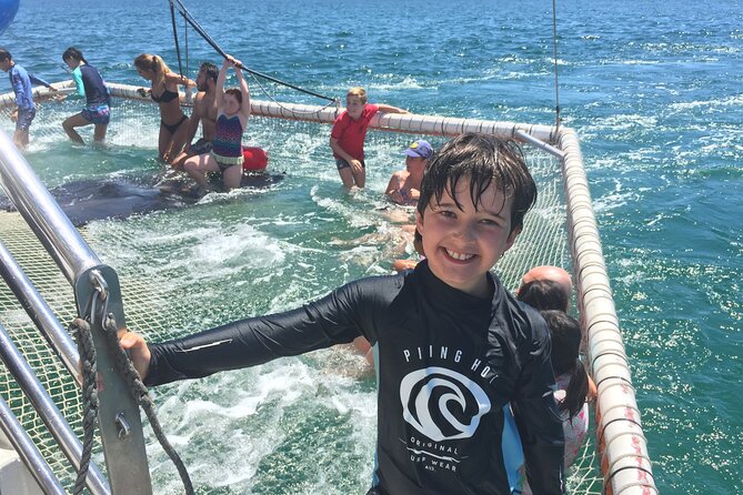 Port Stephens Private Tour From Sydney, with Dolphin/ Whale Cruise Options - Cruise options: dolphins vs whales, and how to plan your day