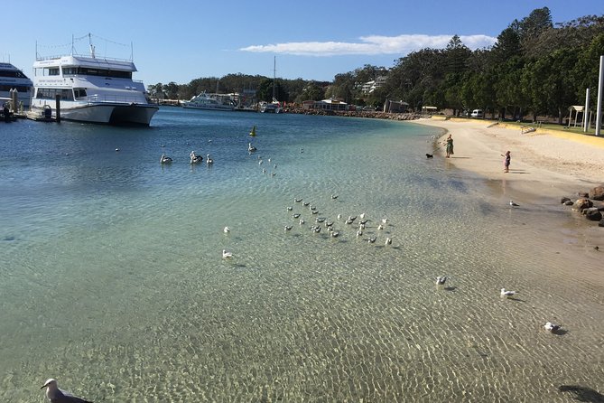 Port Stephens Private Tour From Sydney, with Dolphin/ Whale Cruise Options - Camel riding and why flexibility matters