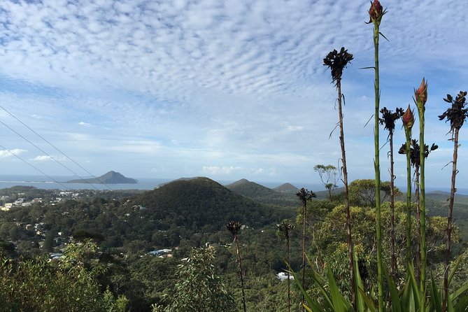 Port Stephens Private Tour From Sydney, with Dolphin/ Whale Cruise Options - What to bring for comfort (and fewer hassles)