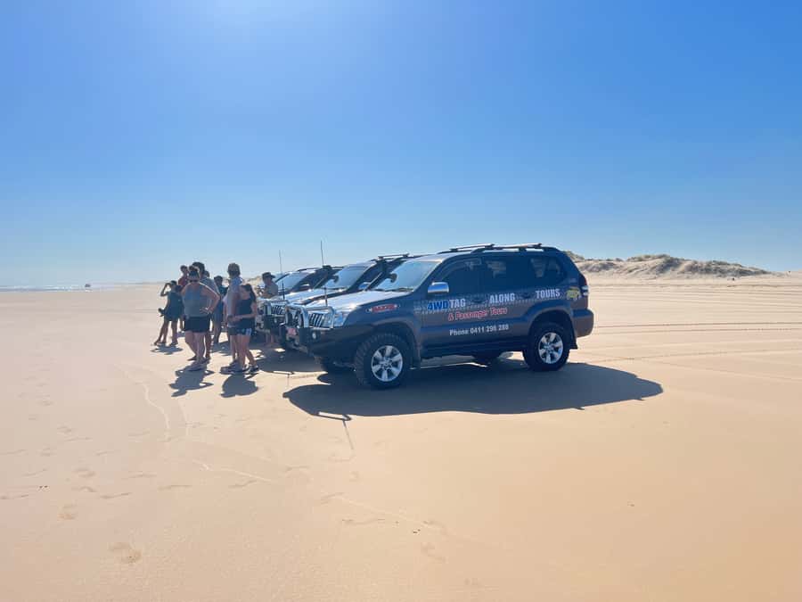 Port Stephens: Stockton Sand Dunes 4WD Tag-Along Tour - Tomaree National Park viewpoints that make the driving feel worth it