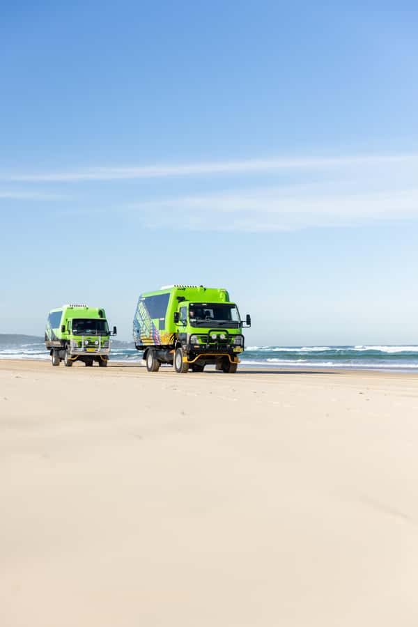 Port Stephens: Unlimited Sandboarding & 4WD Sand Dune Tour - Value check: is $30 per person a smart use of time?