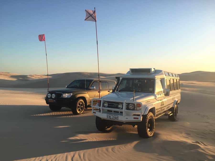 Port Stephens: Unlimited Sandboarding with 4WD Dune Transfer - Practical advice so your day runs smoothly
