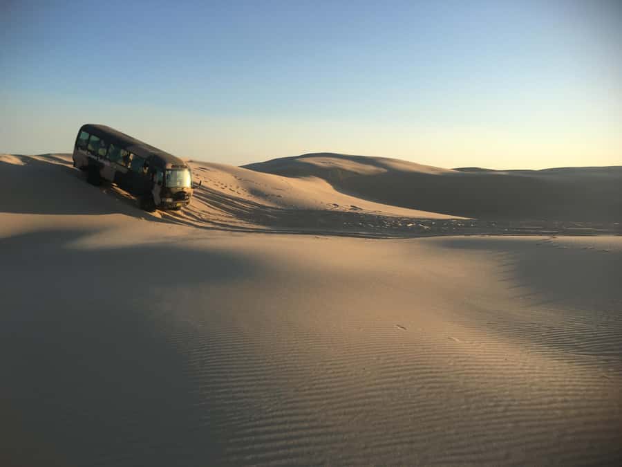 Port Stephens: Unlimited Sandboarding with 4WD Dune Transfer - Meeting point and timing, what the schedule feels like in real life