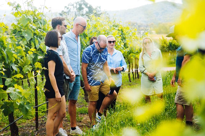 Premium Hunter Valley Wine Tour with Lunch from Sydney - Hunter Valley Gardens: spirit tasting plus a break from the van