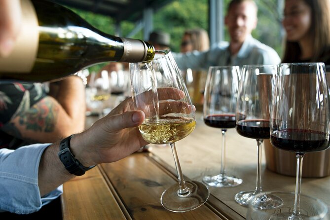 Premium Hunter Valley Wine Tour with Lunch from Sydney - Timing, pacing, and how to avoid the common long-day mistakes