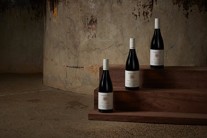 Premium Wine Tasting Experience in Pokolbin - The homestead setting and the wine-first atmosphere