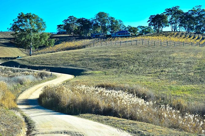 Private Blue Mountains and Winery Day-Trip from Sydney - Wildlife spotting and Aboriginal rock art stops that add meaning to the views