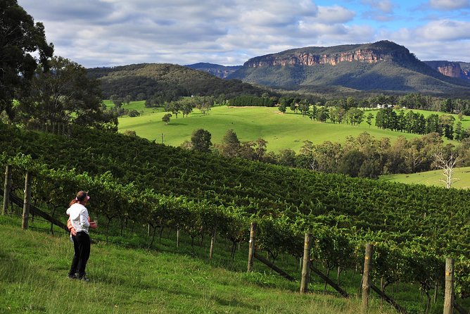 Private Blue Mountains and Winery Day-Trip from Sydney - Scenic World option: pay extra only if you want the big ride