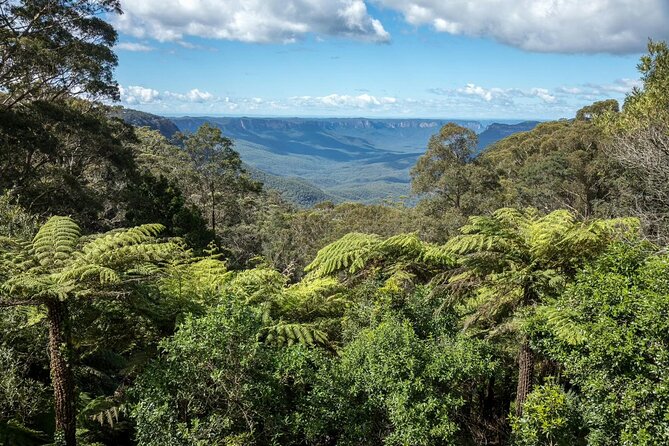 Private Blue Mountains Day Tour (avoid the crowds) - Scenic World Violet St: choose your intensity level