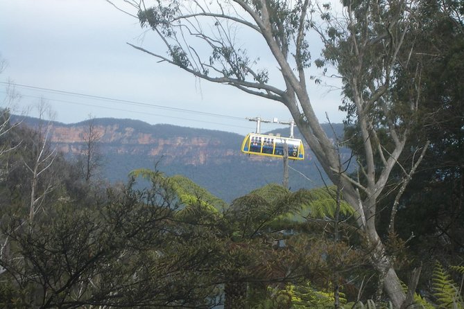 PRIVATE Blue Mountains day tour with local guide. - Getting picked up, getting oriented, and starting at 8:00 am