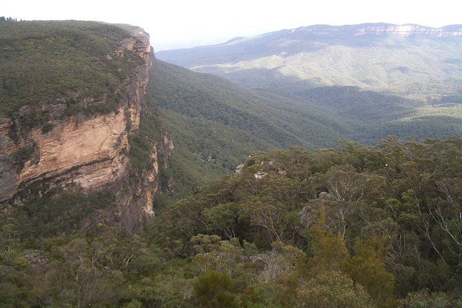 PRIVATE Blue Mountains day tour with local guide. - Sydney Harbour by ferry: a satisfying end to a long day