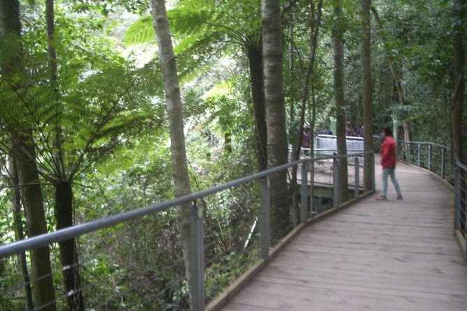 PRIVATE Blue Mountains day tour with local guide. - Featherdale Sydney Wildlife Park: the native animal stretch most people remember
