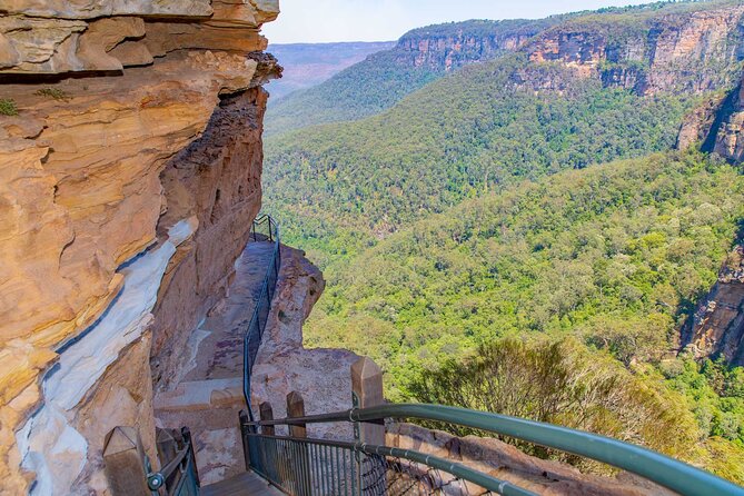 Private Blue Mountains Escape The Crowds Mercedes Tour - Door-to-Door Pickup, a Key Part of the Day