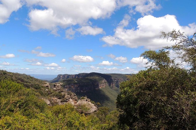 Private Blue Mountains Insider Tour from Sydney - A private Blue Mountains day from Sydney, minus the crowd pressure